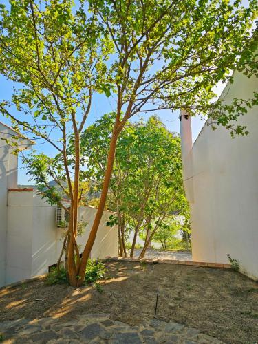 a tree in a yard next to a white wall at Casas Rurales Los Molinos in Sanlúcar de Guadiana