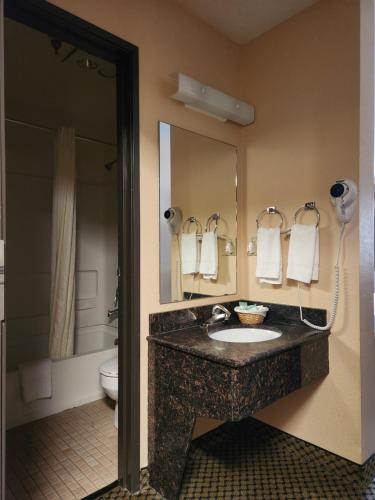 a bathroom with a sink and a toilet and a mirror at Luxury Inn & Suites in Silverthorne
