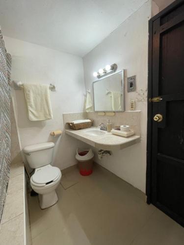 a bathroom with a toilet and a sink and a mirror at Departamento Santa Ana in Valladolid