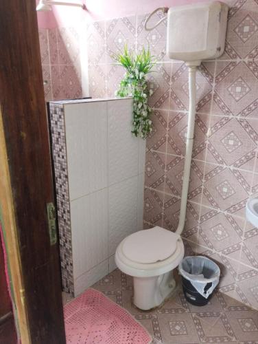 a bathroom with a toilet with plants on the wall at Casa em Parintins in Parintins