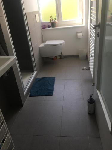 ein Bad mit einer Dusche, einem WC und einem Fenster in der Unterkunft Cuddle Nest in Berlin
