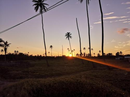 a sunset with palm trees and a road at Luky's Rooms in San Andrés