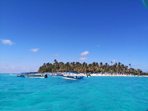 a group of boats on a beach with palm trees at Luky's Rooms in San Andrés