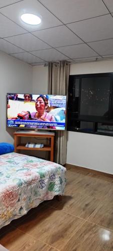 um quarto com uma televisão de ecrã plano e uma cama em Santa Ursula Departamento em San Sebastián