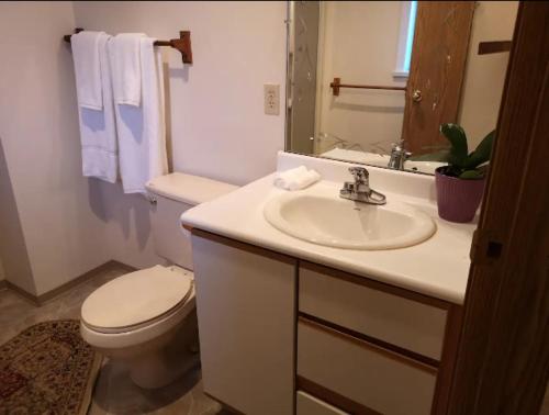 een badkamer met een wastafel, een toilet en een spiegel bij Private 1 bedroom 1 bath with separate entrance in a house in Burnaby