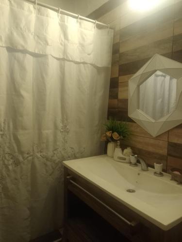a bathroom with a sink and a shower curtain at La Familia 2 in Ezeiza
