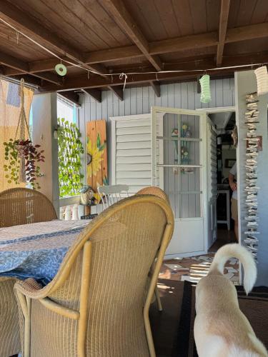 a dog standing on a table in a dining room at Bungalow Ocean View wifi in Patillas