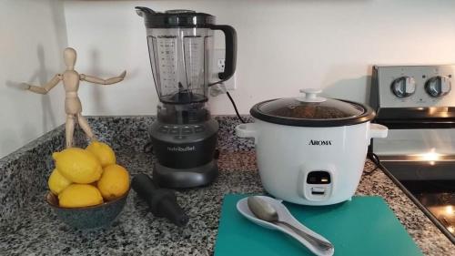 a kitchen counter with a blender and a bowl of lemons at Travel Nurses Delight in De Land