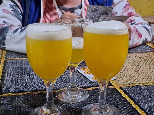 three glasses of beer sitting on a table at HOSTAL EL AROMO.. in Chillán