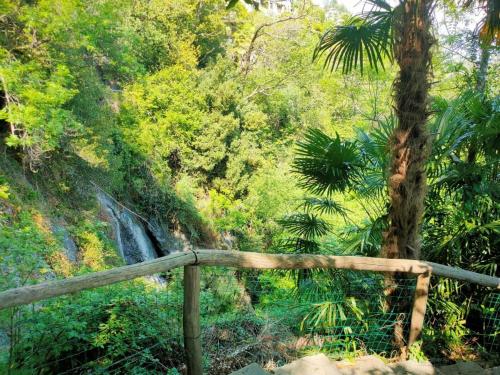 eine Holzbrücke in einem Wald mit einem Wasserfall in der Unterkunft Casa "Pipistrello" in Ronco sopra Ascona