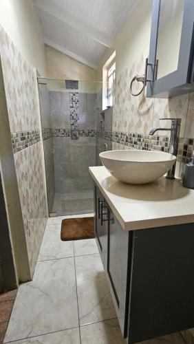 a bathroom with a sink and a shower at Ocean View Apartment in Soufrière