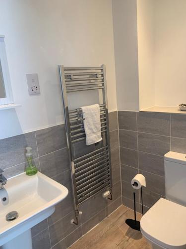 a bathroom with a sink and a toilet at The Chestnuts in Winscombe