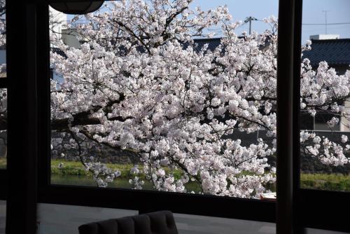 Κήπος έξω από το Japanese Machiya kanazawa private villa Asanogawa