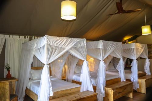 a bedroom with four beds with white drapes at MAISHA SWEETWATERS CAMP in Ol Pejeta Conservancy