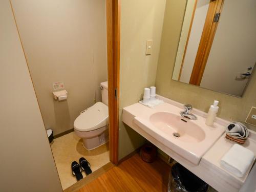 a bathroom with a sink and a toilet and a mirror at Hoshikawakan in Yamanouchi
