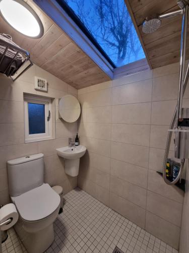 bagno con servizi igienici, lavandino e lucernario. di Cosy Cabin near Lough Hyne a Skibbereen