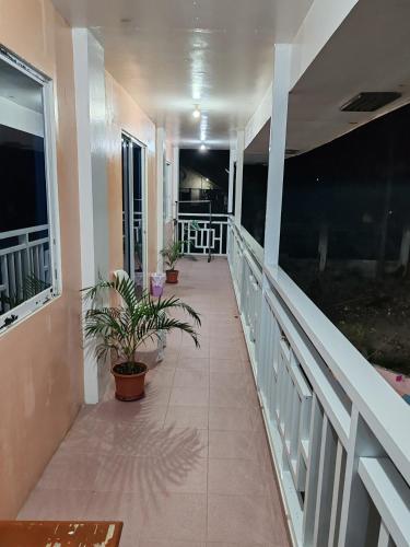 a balcony of a building with potted plants on it at TGH Guest House Badian in Badian