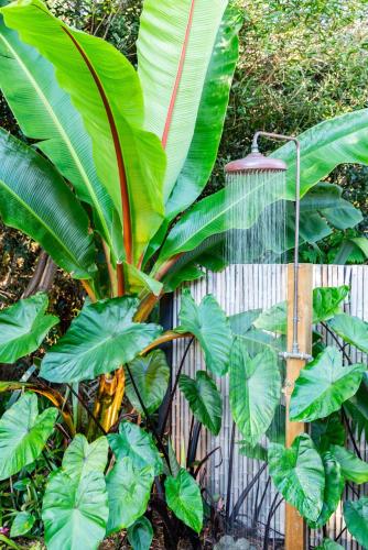 Giardino di The Cabin - Mangawhai Heads Studio