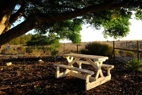 a picnic table and bench under a tree at Blue Sky Retreat in Vredenburg