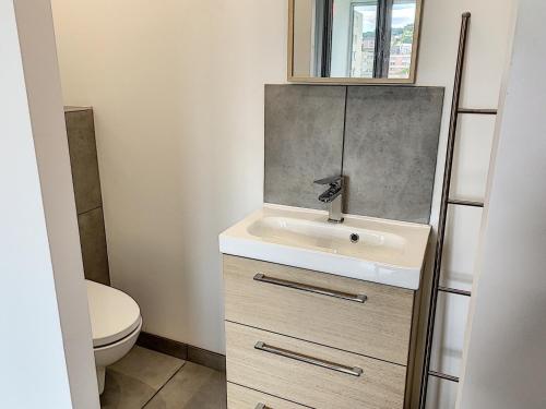 ein Bad mit einem Waschbecken und einem WC in der Unterkunft Superbe chambre meublée avec sa propre salle de bains avec douche et wc privés in Vandoeuvre-lès-Nancy