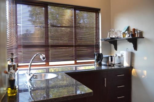 a kitchen with a sink and a window at Jade Mountain Cottage 玉山小屋 in White River