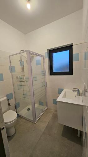 a bathroom with a shower and a toilet and a sink at appartement des jeux in Chaource