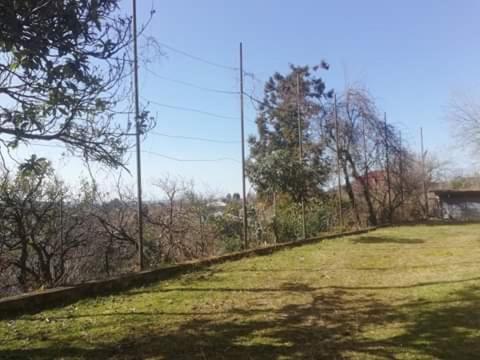 una valla en un campo con césped y árboles en Kvirike-house, en Kobuleti