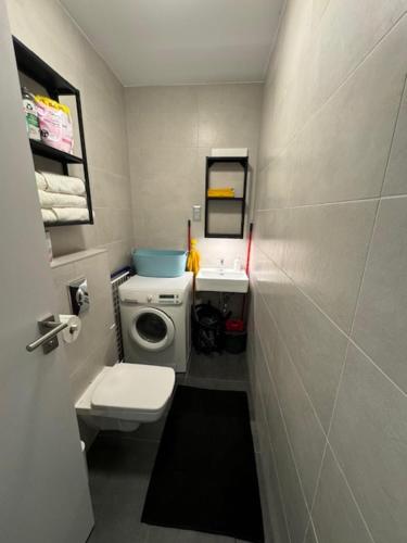 a small bathroom with a toilet and a sink at Fűzliget2- Pier in Balatonfůzfő