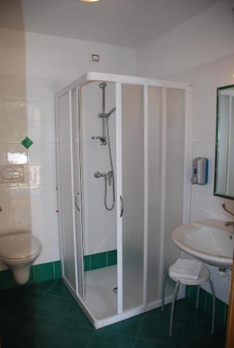 a bathroom with a shower and a sink at Affittacamere Dai Stoneri in Cavareno