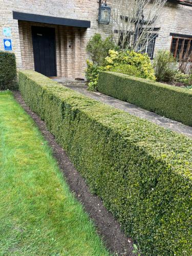 a row of hedges in front of a building at Church Hill Farm in Lighthorne