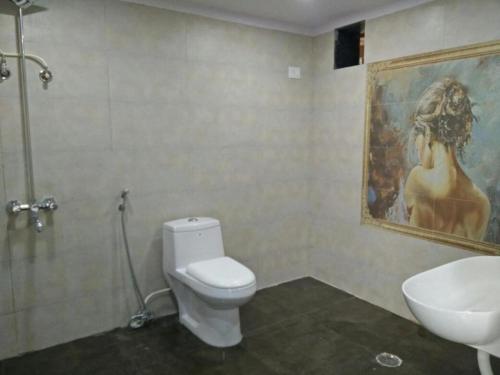 孟買的住宿－Spruce Peak Villa，一间带水槽和卫生间的浴室以及一幅画