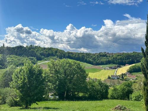 a view of a green field and trees at Breitenfelderhof zur Riegersburg in Breitenfeld an der Rittschein