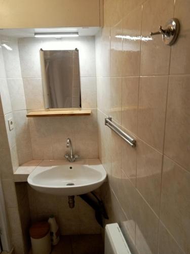 une salle de bain avec un lavabo, un miroir et une douche dans l'établissement Les halles de Béziers, à Béziers