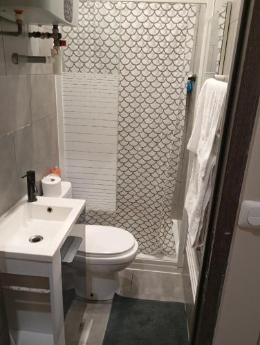 une salle de bain avec des toilettes blanches et un lavabo dans l'établissement Appartement 2 pièces a louer, à Saint-Denis