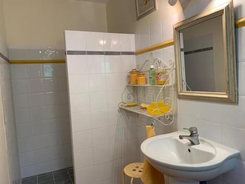 弗納斯屈厄的住宿－拉奈斯奎住宿加早餐旅館，一间带水槽和镜子的浴室