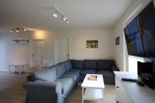 ein Wohnzimmer mit einem blauen Sofa und einem TV in der Unterkunft K108 EG - Exclusive Ferienwohnung mit Sauna in Roebel in Röbel