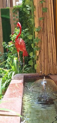 a flamingo is standing next to a pond at Arabian Hotel Apartments in Ajman 
