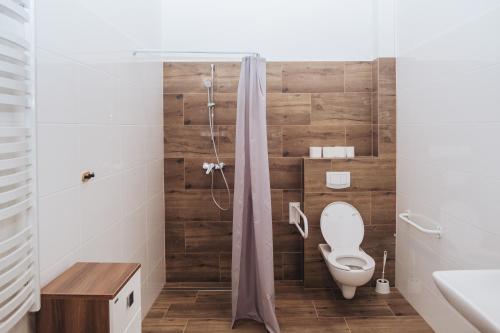 ein Bad mit einem WC und einer Dusche in der Unterkunft Zielone Podlasie Zakład Aktywności Zawodowej in Ruda