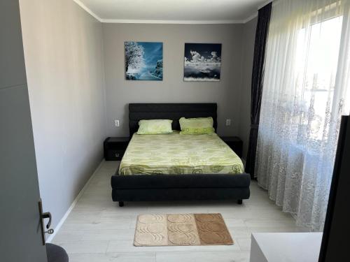MaliucにあるKarina Maliuc Apartmentのベッドルーム1室(ベッド1台付)が備わります。壁に2枚の写真が飾られています。