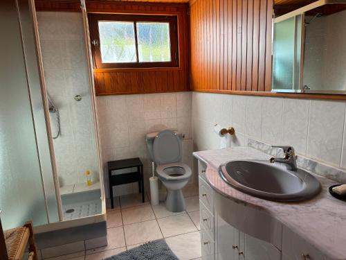 a bathroom with a sink and a toilet at Maison St Lary 4Ch 10pers jardin in Saint-Lary-Soulan