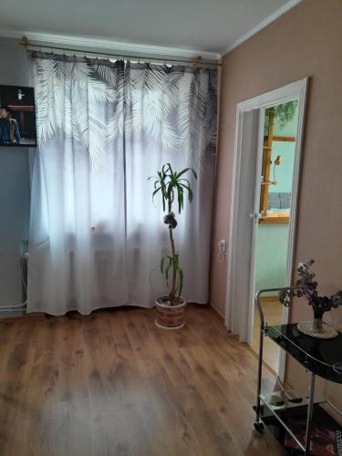 a room with a curtain and a plant in front of a window at Cozy Apartment in Alūksne