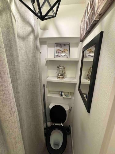 une petite salle de bain avec toilettes et miroir dans l'établissement Appart Lagon Bleu Piscine Tennis, à Fréjus