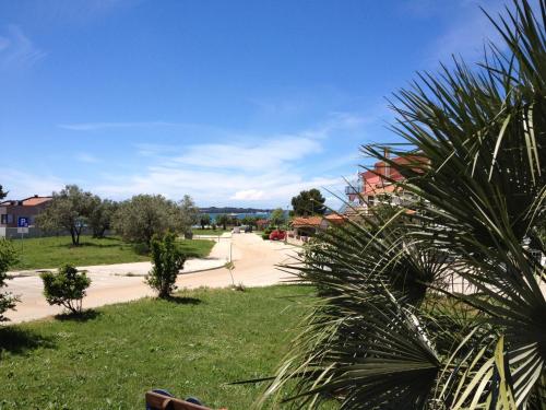 Apartman Olive