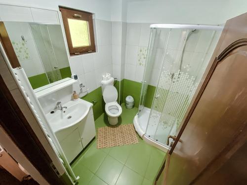 La salle de bains verte est pourvue de toilettes et d'une douche. dans l'établissement Pensiunea Petru, à Şugag