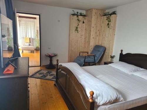 ein Schlafzimmer mit einem Bett und einem Stuhl in der Unterkunft Casa Bonita Saliste in Sălişte