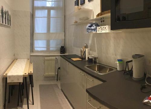 een kleine keuken met een spoelbak en een aanrecht bij Garden View boutique apartments in Gorizia