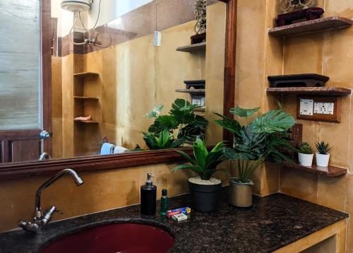 een badkamer met een wastafel, een spiegel en planten bij La Maison de Bitasta in Pondicherry