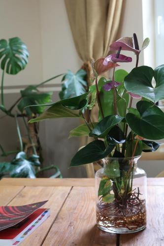 a vase with a flower in it on a table at Hotel Carolaruh in Bad Elster