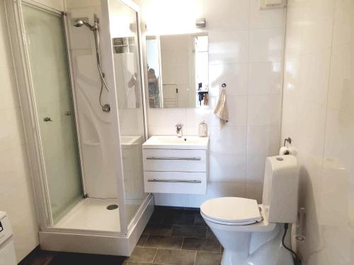 a bathroom with a shower and a toilet and a sink at Spacious 2 Bedroom Apartment in Arendal. in Arendal