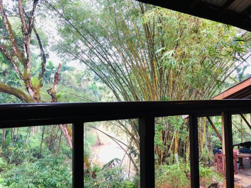 una vista desde una ventana de un árbol en Lellopitiya guest en Pelmadulla